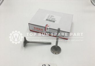 Intake valve 6N9915