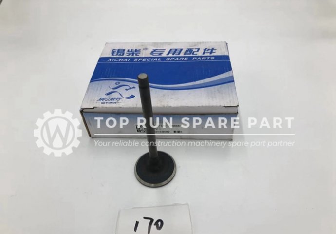 Xichai engine intake valve