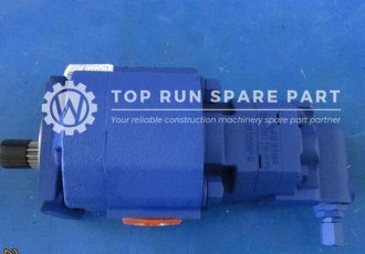 Shanghai engine duplex pump 8034083409