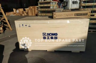 XCMG loose cargo to client
