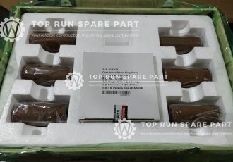 Shanghai engine genuine piston ring group C121-05-000