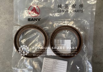 Sany SRC550 truck crane oil seal 60254974